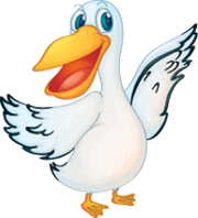 White Pelican Service